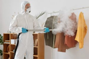 5 razones por las que necesitas un humidificador sanitizante en tu vida